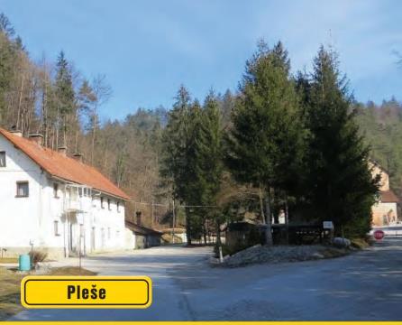 Muncipality_Skofljica_Plese